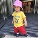 song的头像