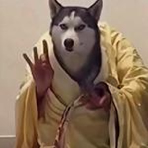 WiLxn的头像