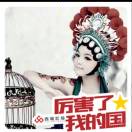 bin的头像