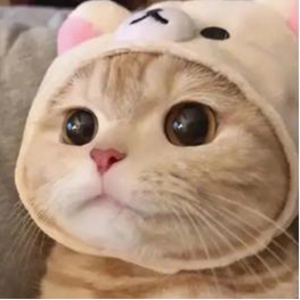 无敌小小的头像