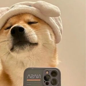 小香猪的头像