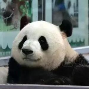 盖浇饭码的头像