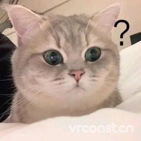 猫子的头像