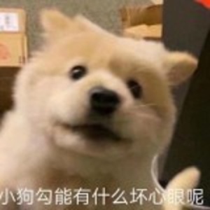 吧吧吧噗的头像