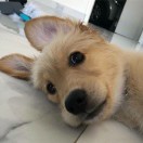 李柳杰的头像