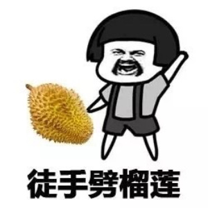榴莲大鸟的头像