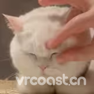 刘逍遥的头像
